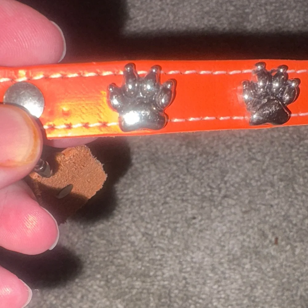 New Orange Dog Collar with Paw Charms leather size 10 inches